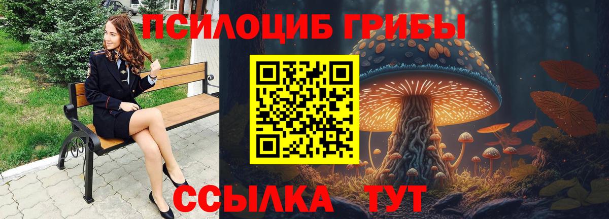 Галлюциногенные грибы Cubensis Губкин