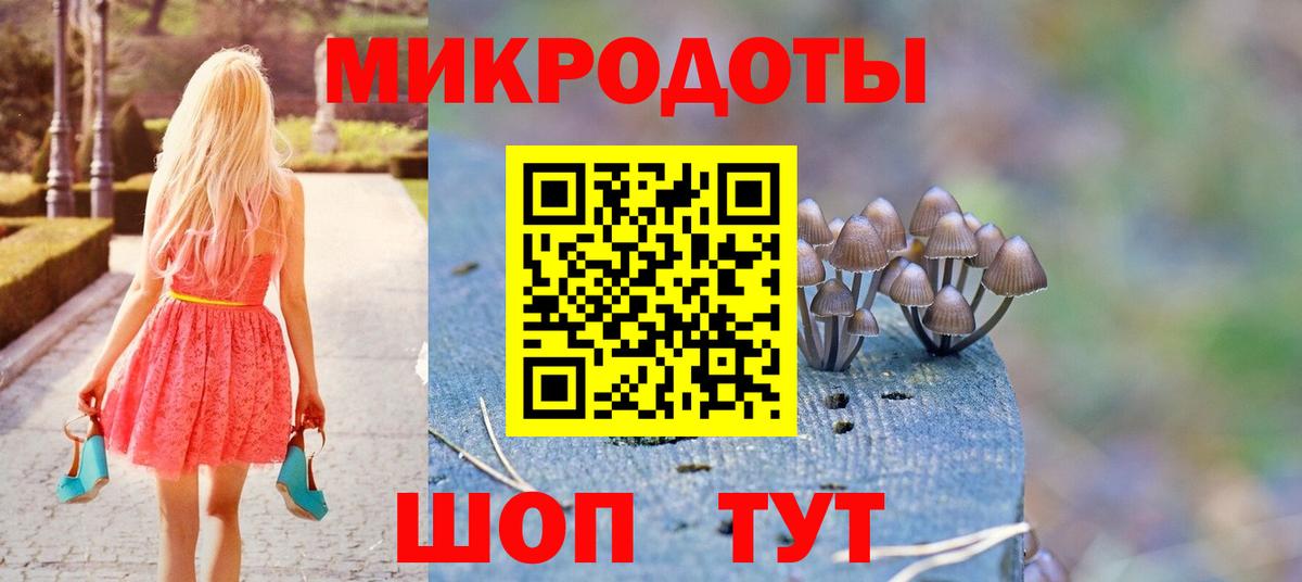 Губкин  Галлюциногенные грибы Magic Shrooms  Вход с VPN  Псилоцибиновые грибы Cubensis 